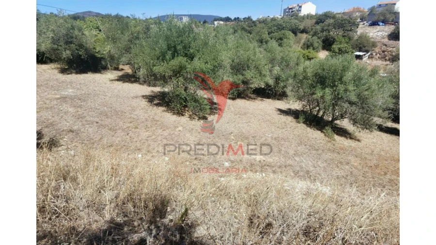 Terreno para Venda em Alcanena e Vila Moreira Foto 17