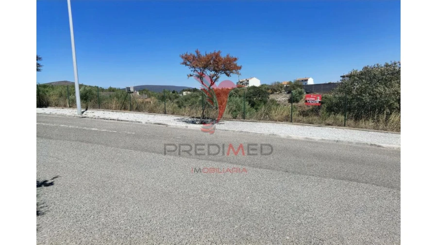 Terreno para Venda em Alcanena e Vila Moreira Foto 5