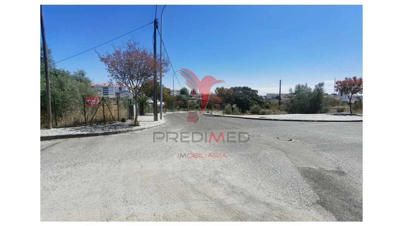 Terreno para Venda em Alcanena e Vila Moreira Foto 1