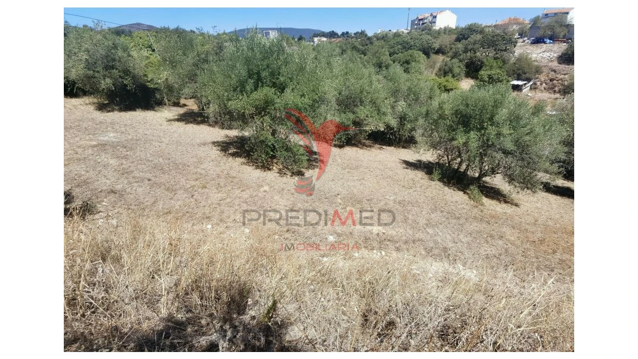 Terreno para Venda em Alcanena e Vila Moreira Foto 17