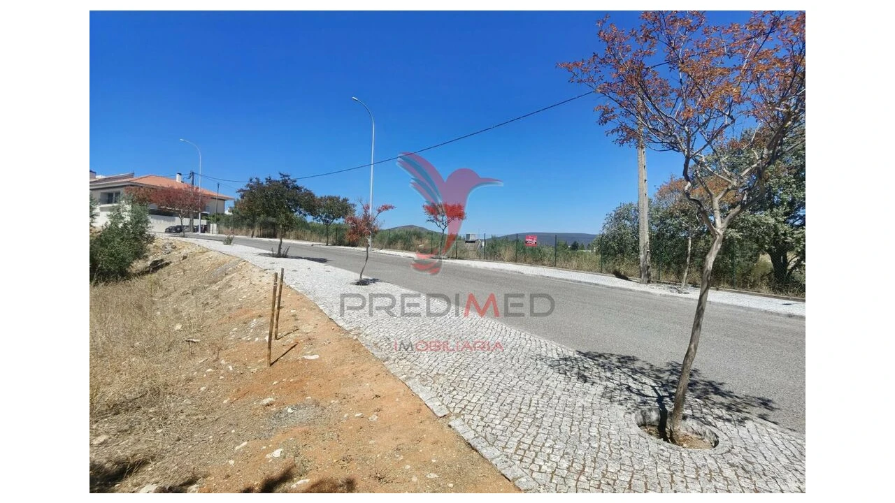 Terreno para Venda em Alcanena e Vila Moreira Foto 9