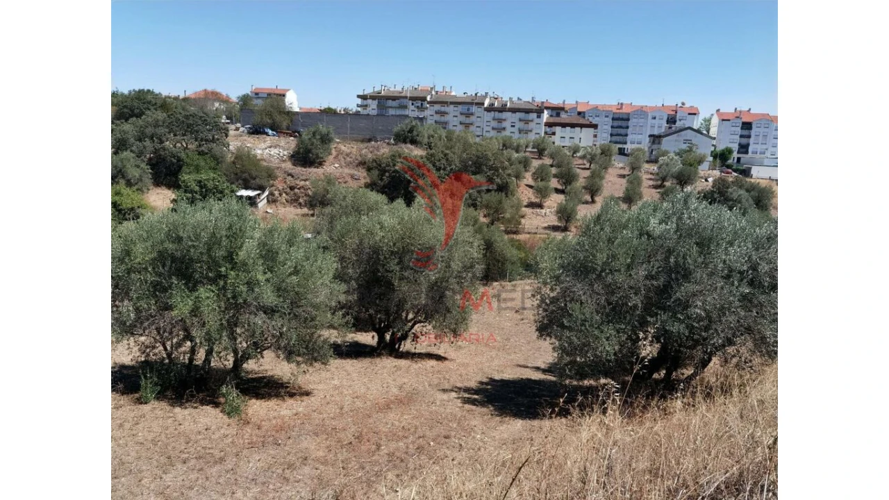 Terreno para Venda em Alcanena e Vila Moreira Foto 7