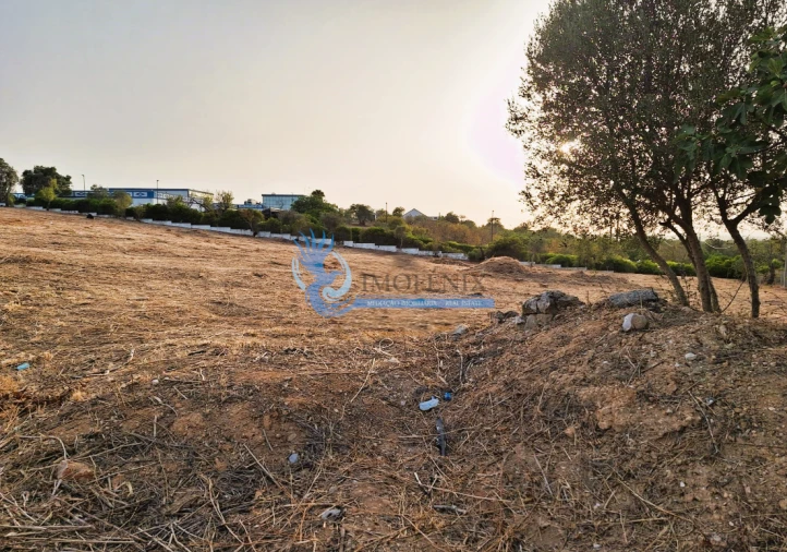 Terreno para Venda em Albufeira e Olhos de Água Foto 2