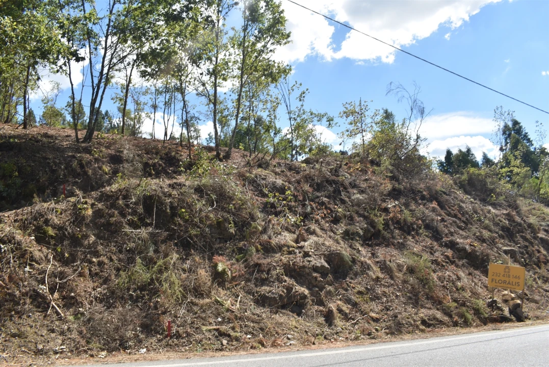 Terreno para Venda em São Cipriano e Vil de Souto Foto 14
