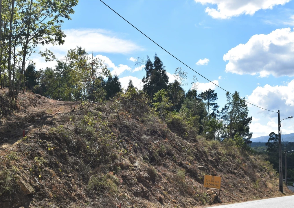 Terreno para Venda em São Cipriano e Vil de Souto Foto 13