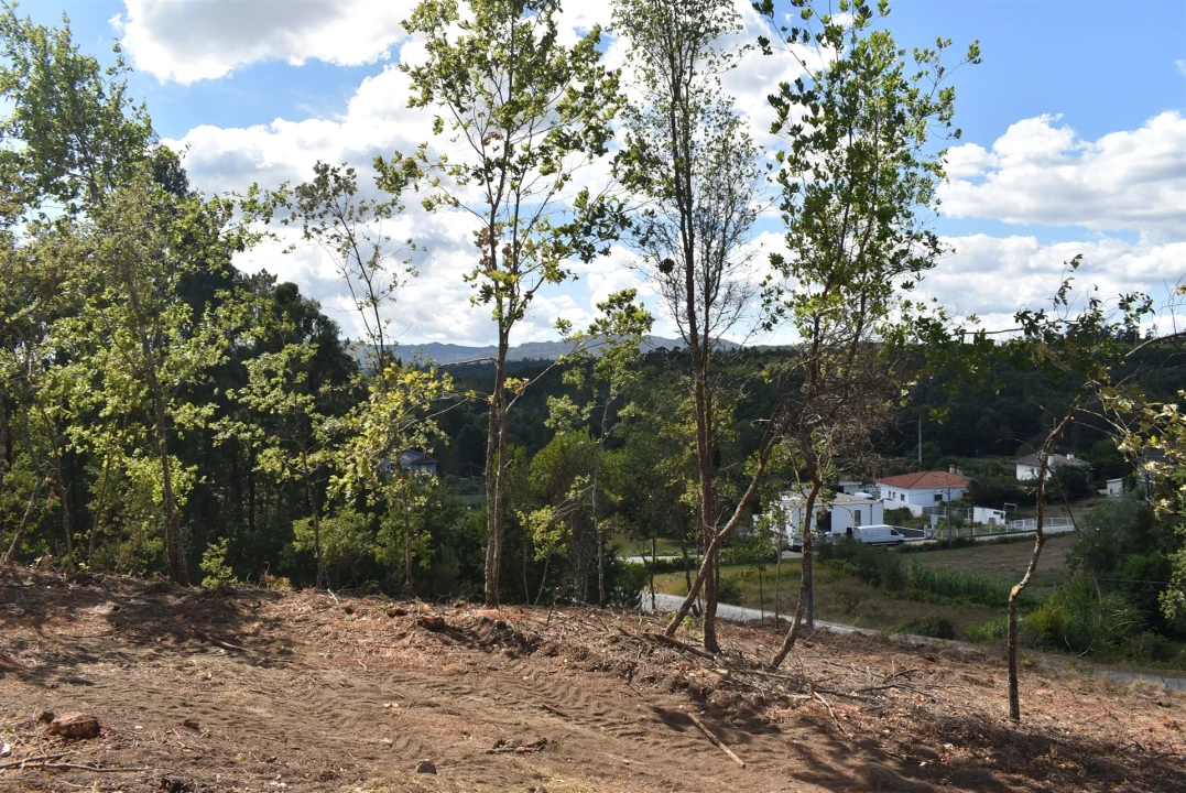 Terreno para Venda em São Cipriano e Vil de Souto Foto 10