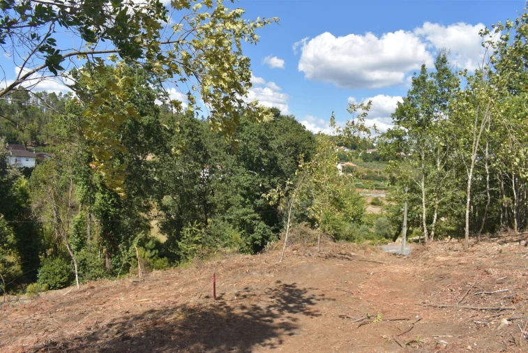 Terreno para Venda em São Cipriano e Vil de Souto Foto 4