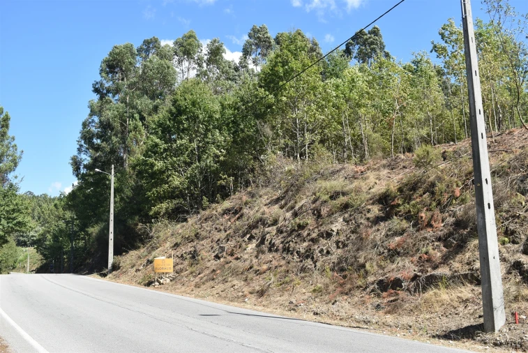 Terreno para Venda em São Cipriano e Vil de Souto Foto 15
