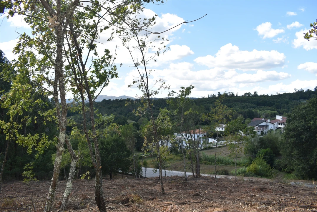 Terreno para Venda em São Cipriano e Vil de Souto Foto 1