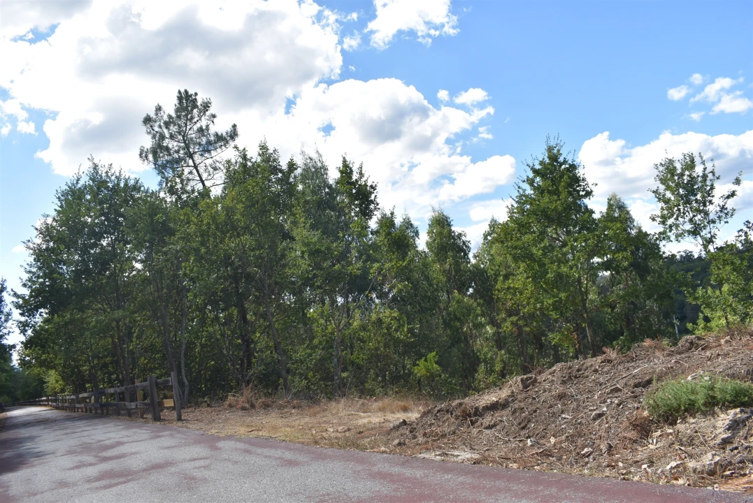 Terreno para Venda em São Cipriano e Vil de Souto Foto 9