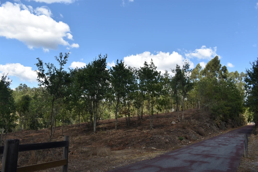 Terreno para Venda em São Cipriano e Vil de Souto Foto 8