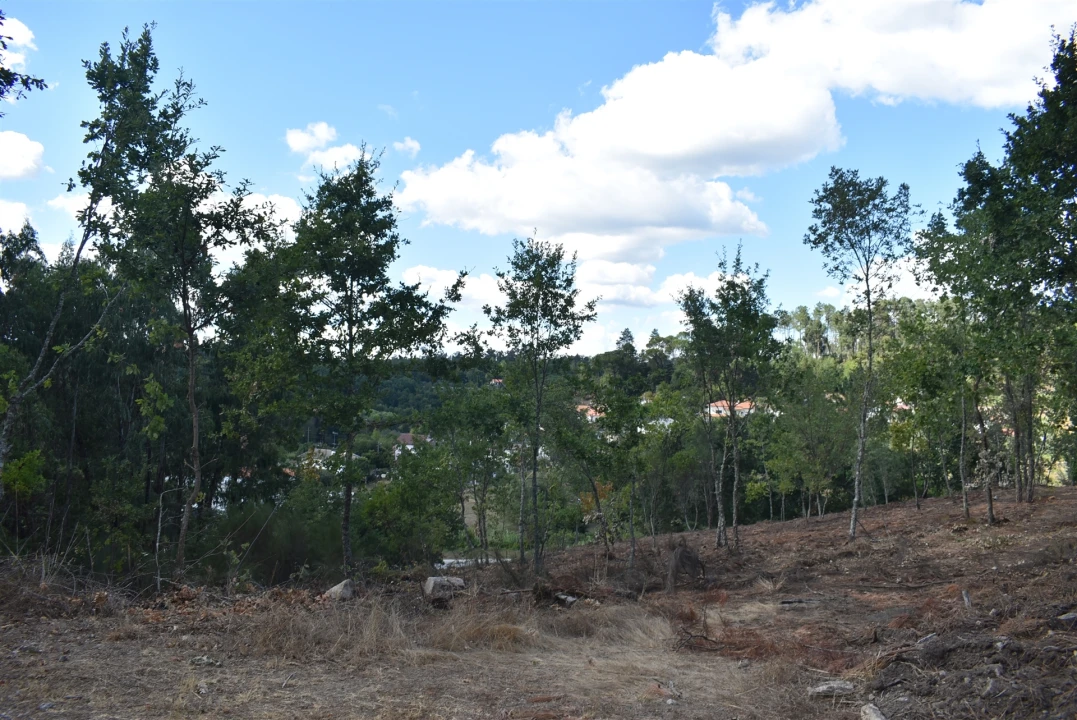 Terreno para Venda em São Cipriano e Vil de Souto Foto 7