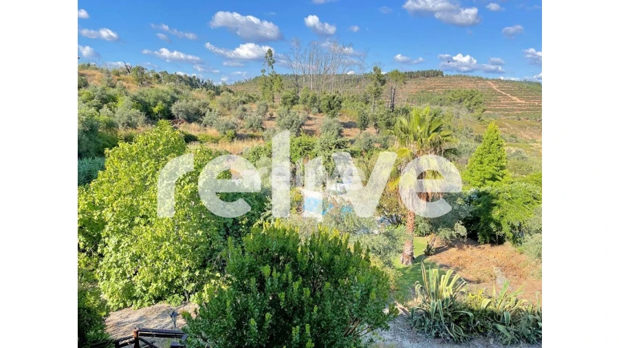 Moradia T6 para Venda em Sardoal Foto 20