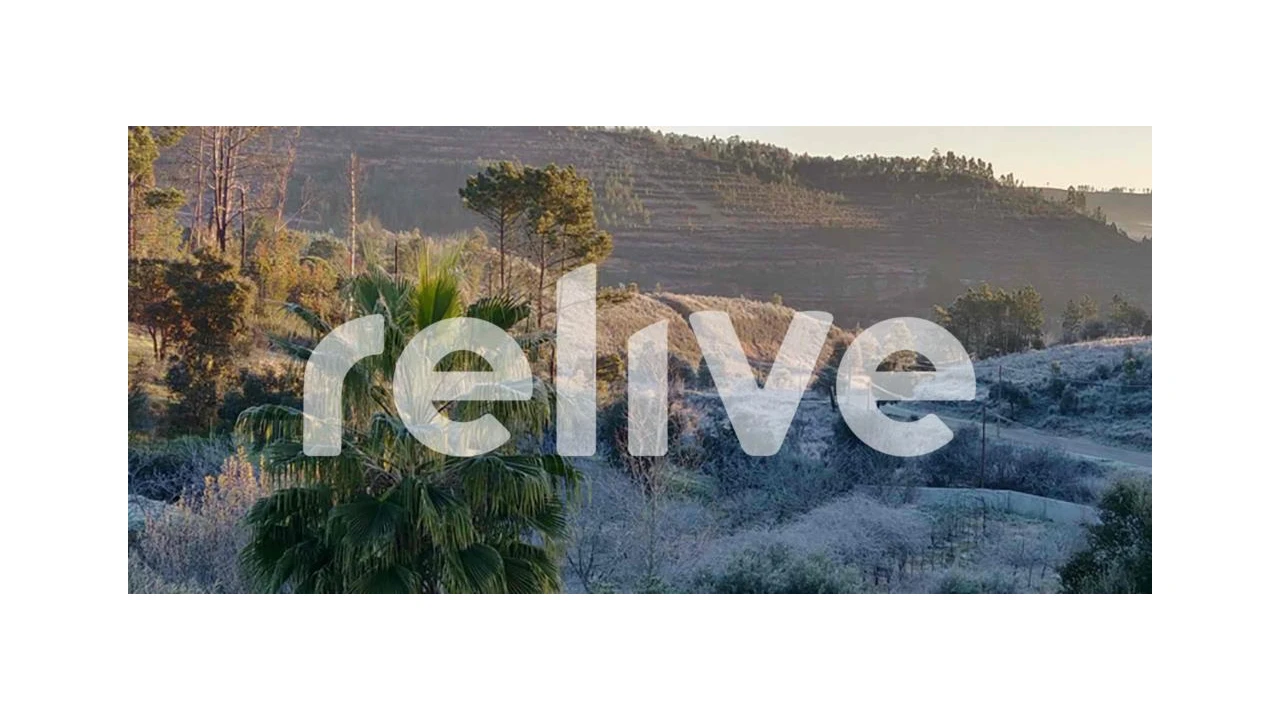 Moradia T6 para Venda em Sardoal Foto 2