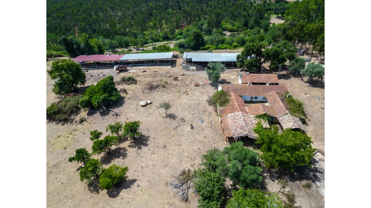 Quinta T0 para Venda em Souto da Carpalhosa e Ortigosa Foto 9