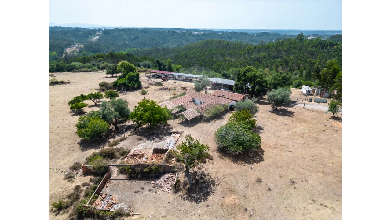 Quinta T0 para Venda em Souto da Carpalhosa e Ortigosa Foto 15
