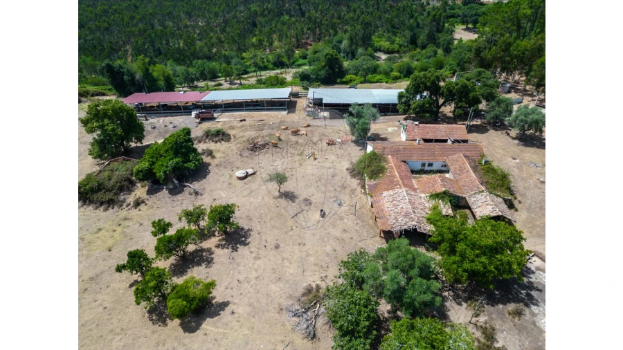 Quinta T0 para Venda em Souto da Carpalhosa e Ortigosa Foto 9