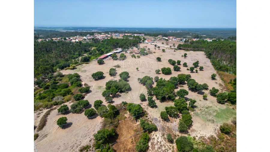 Quinta T0 para Venda em Souto da Carpalhosa e Ortigosa Foto 11