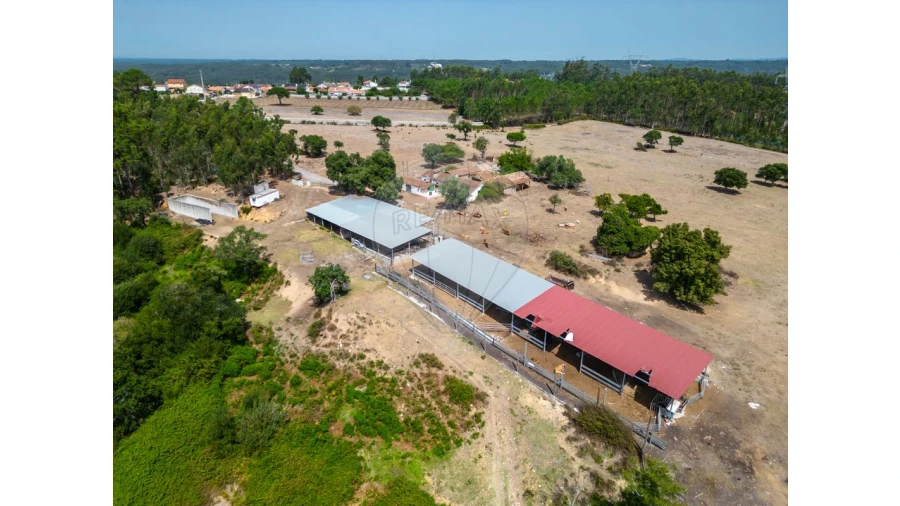 Quinta T0 para Venda em Souto da Carpalhosa e Ortigosa Foto 19