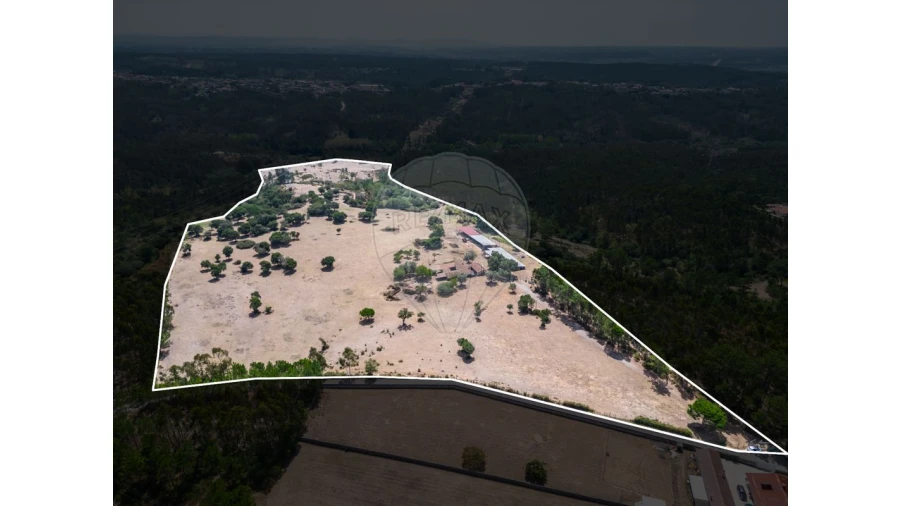 Quinta T0 para Venda em Souto da Carpalhosa e Ortigosa