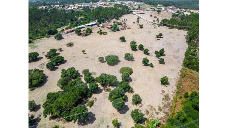 Quinta T0 para Venda em Souto da Carpalhosa e Ortigosa Foto 6