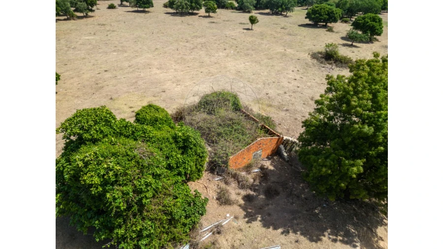Quinta T0 para Venda em Souto da Carpalhosa e Ortigosa Foto 13