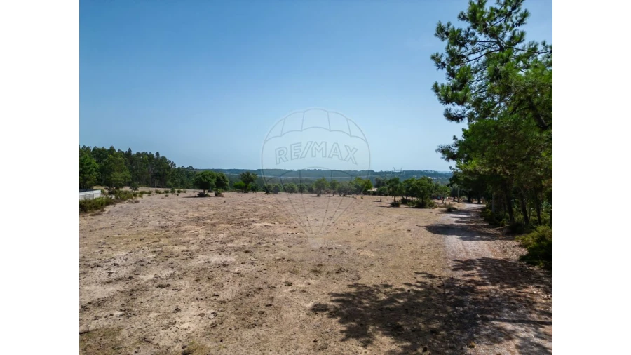 Quinta T0 para Venda em Souto da Carpalhosa e Ortigosa Foto 23