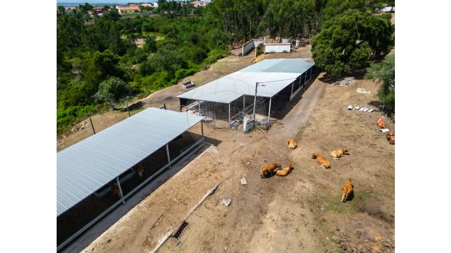 Quinta T0 para Venda em Souto da Carpalhosa e Ortigosa Foto 20