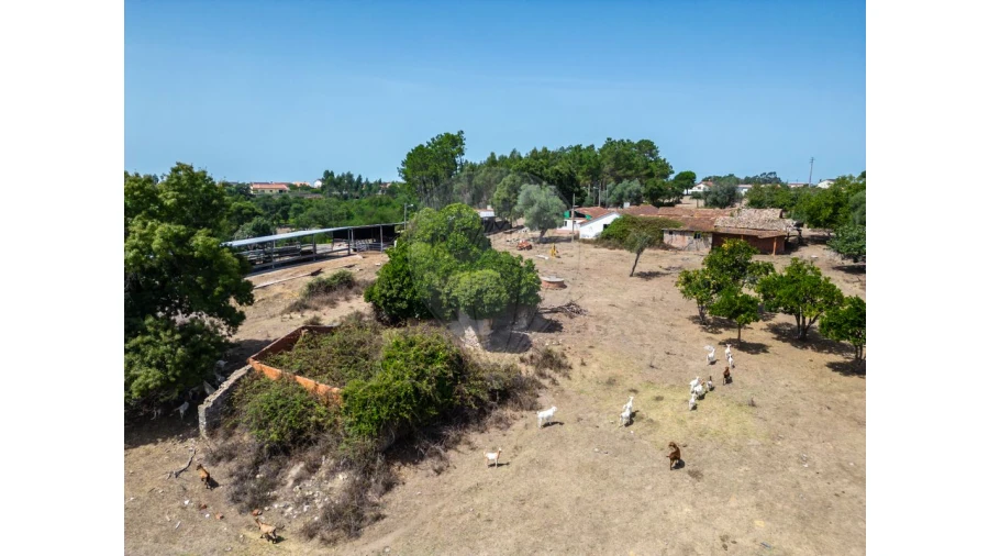 Quinta T0 para Venda em Souto da Carpalhosa e Ortigosa Foto 14