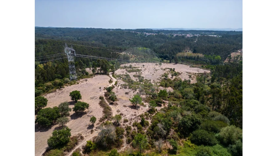 Quinta T0 para Venda em Souto da Carpalhosa e Ortigosa Foto 24
