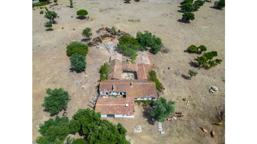 Quinta T0 para Venda em Souto da Carpalhosa e Ortigosa Foto 21