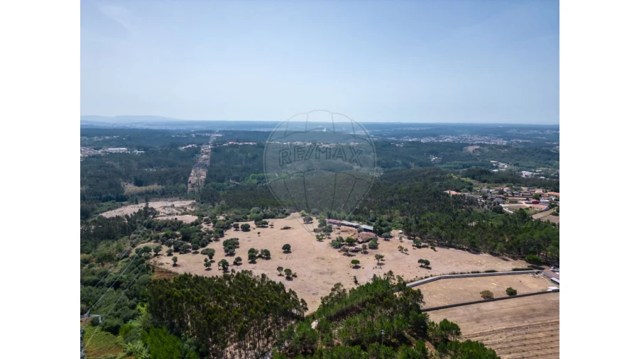 Quinta T0 para Venda em Souto da Carpalhosa e Ortigosa Foto 2