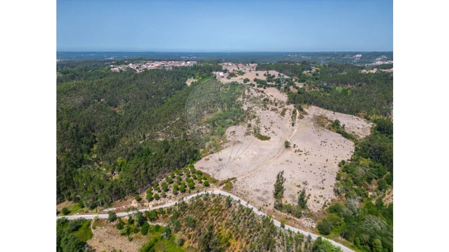 Quinta T0 para Venda em Souto da Carpalhosa e Ortigosa Foto 22