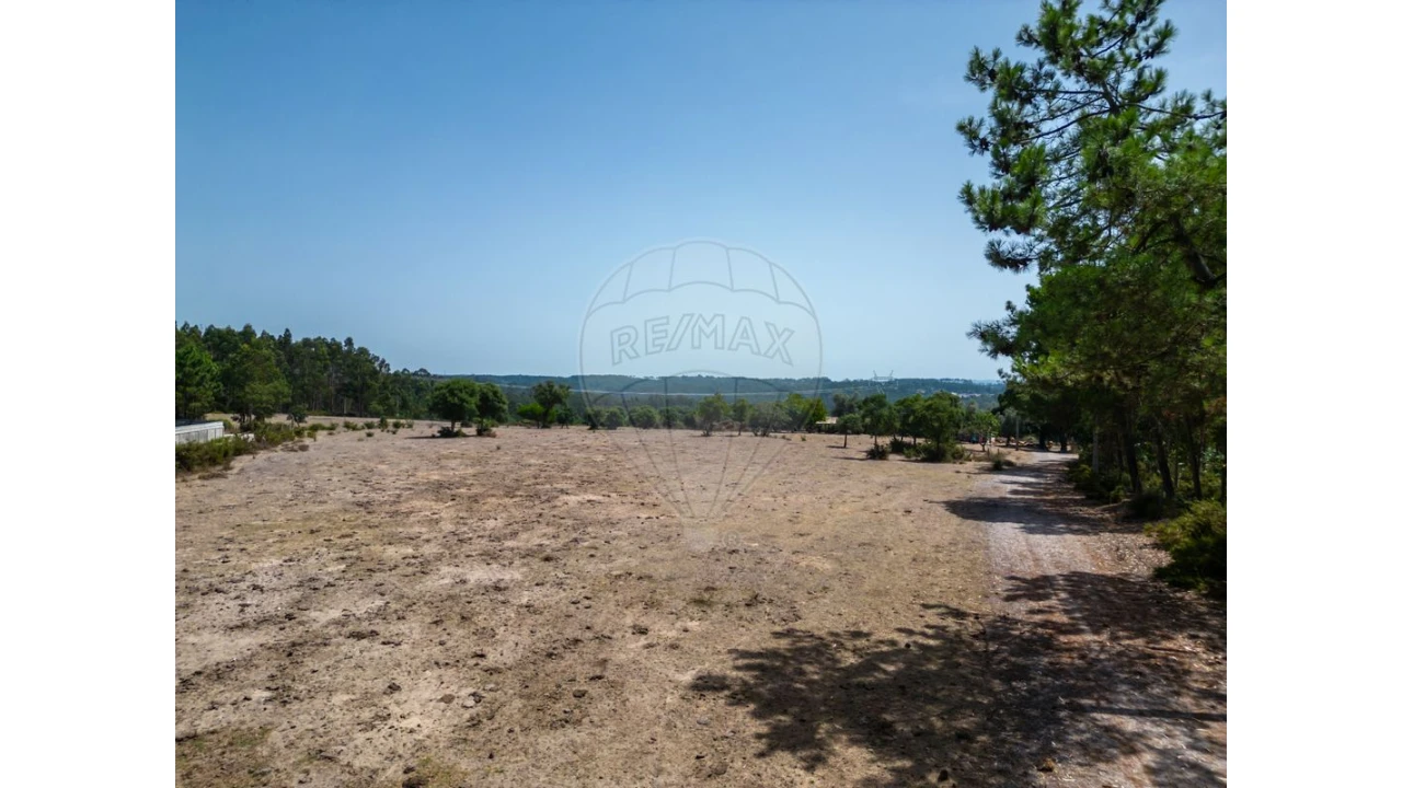 Quinta T0 para Venda em Souto da Carpalhosa e Ortigosa Foto 23