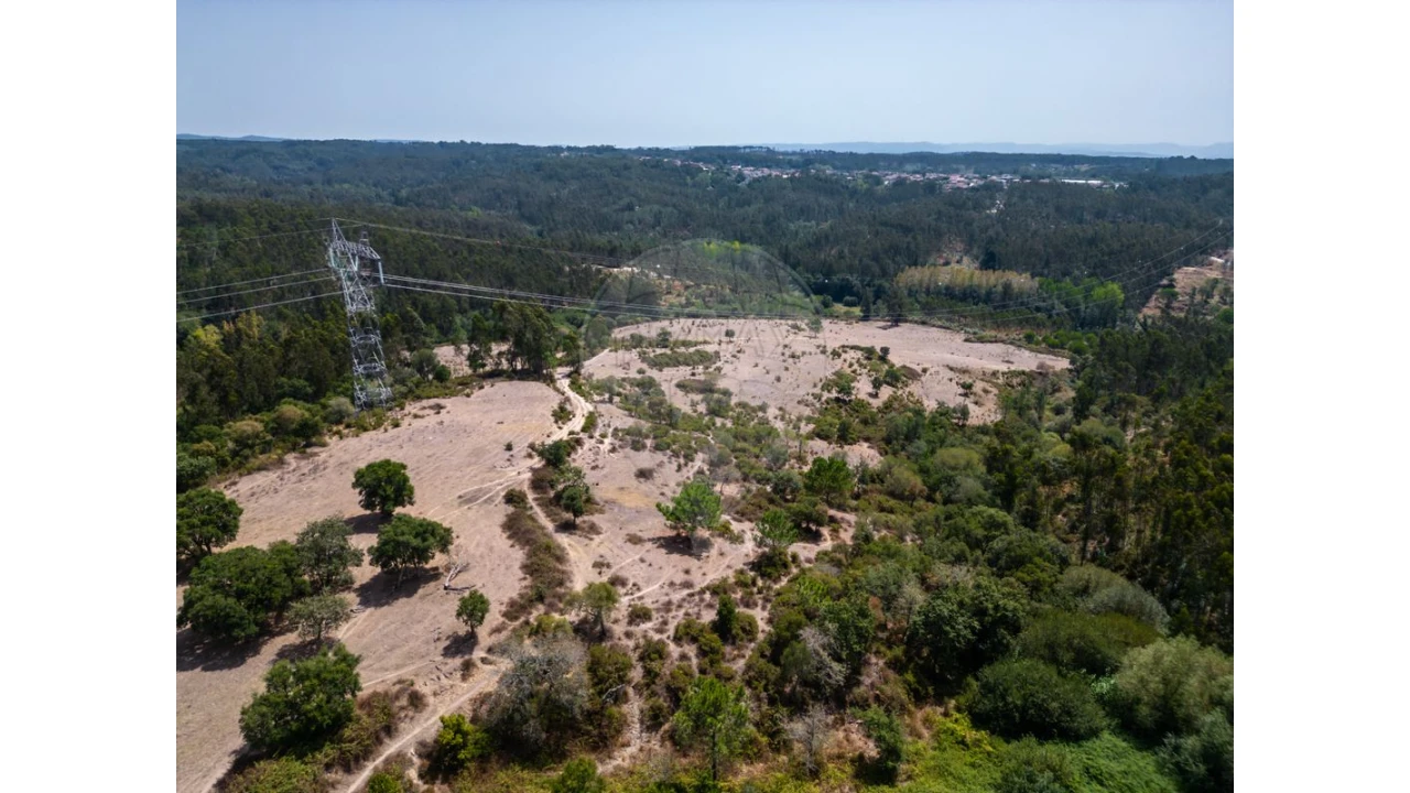 Quinta T0 para Venda em Souto da Carpalhosa e Ortigosa Foto 24