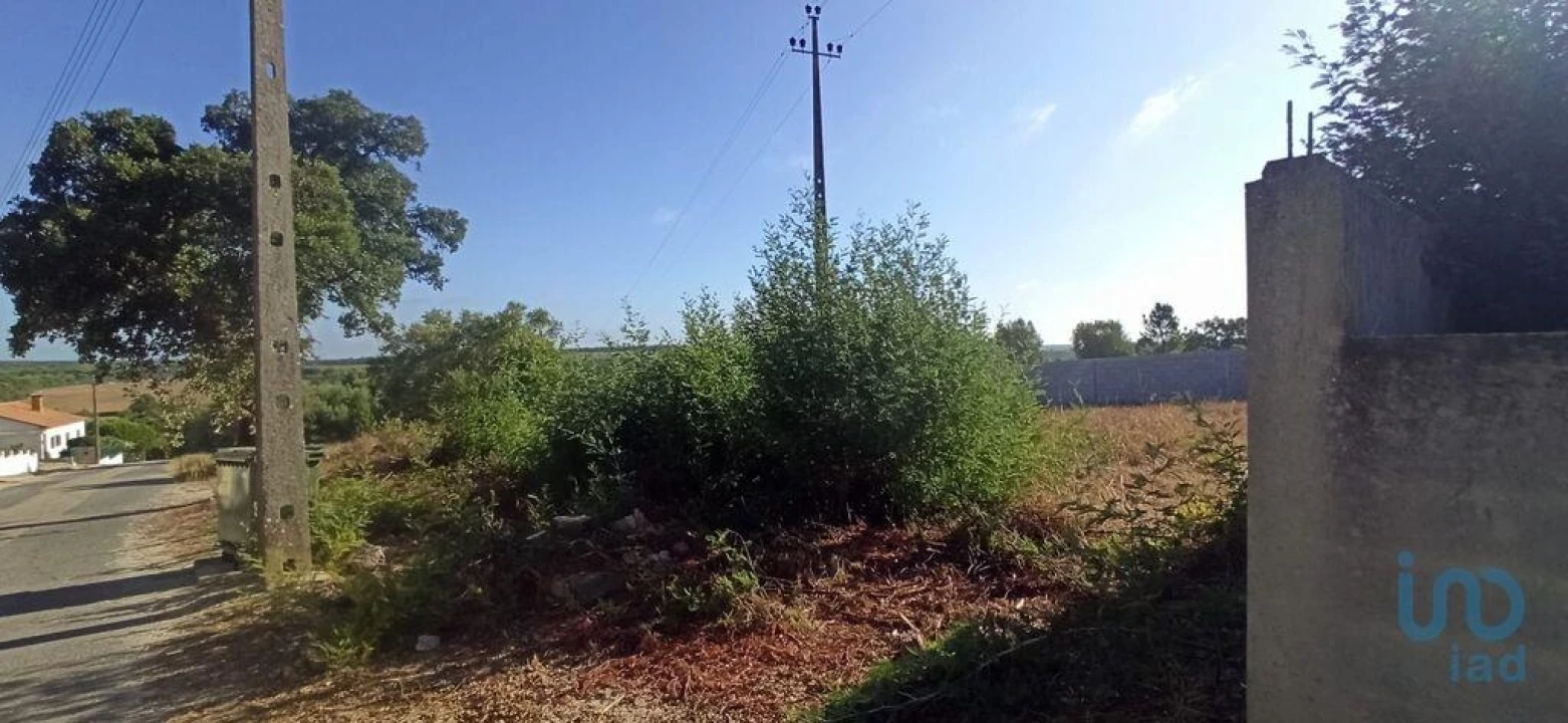 Terreno para Venda em Coruche, Fajarda e Erra Foto 6