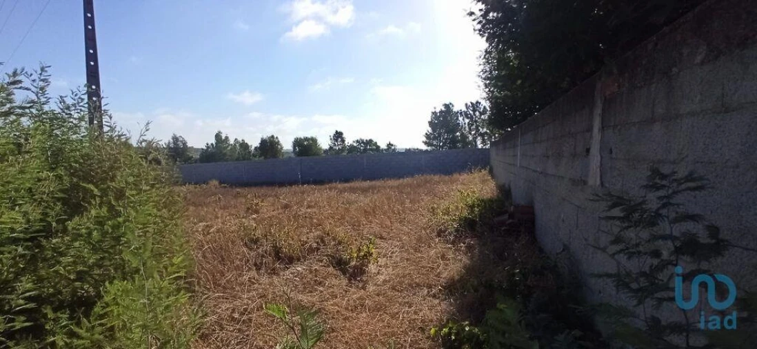 Terreno para Venda em Coruche, Fajarda e Erra Foto 2