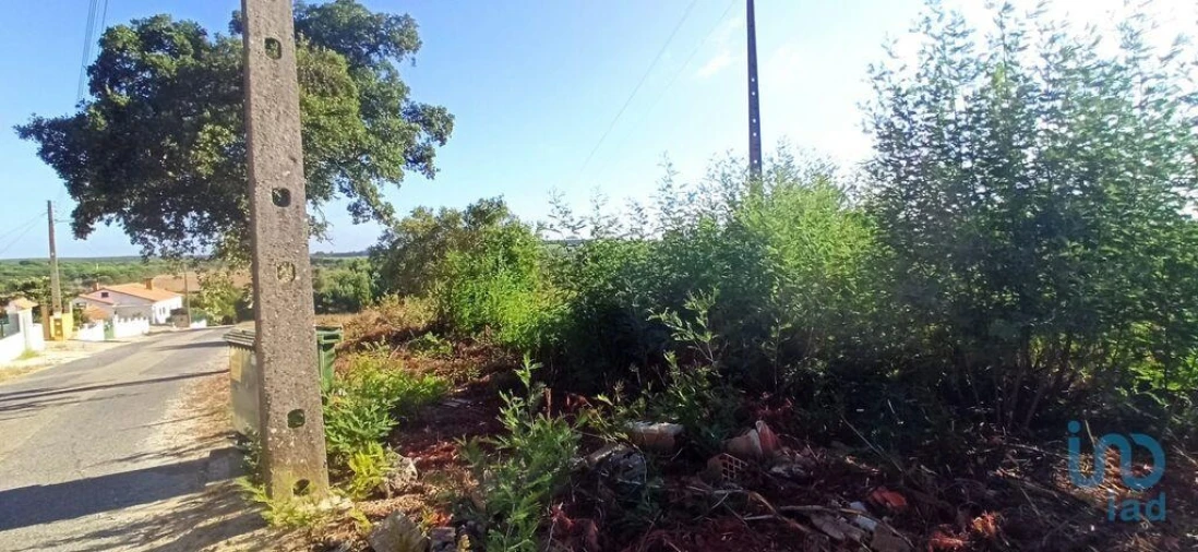 Terreno para Venda em Coruche, Fajarda e Erra Foto 4