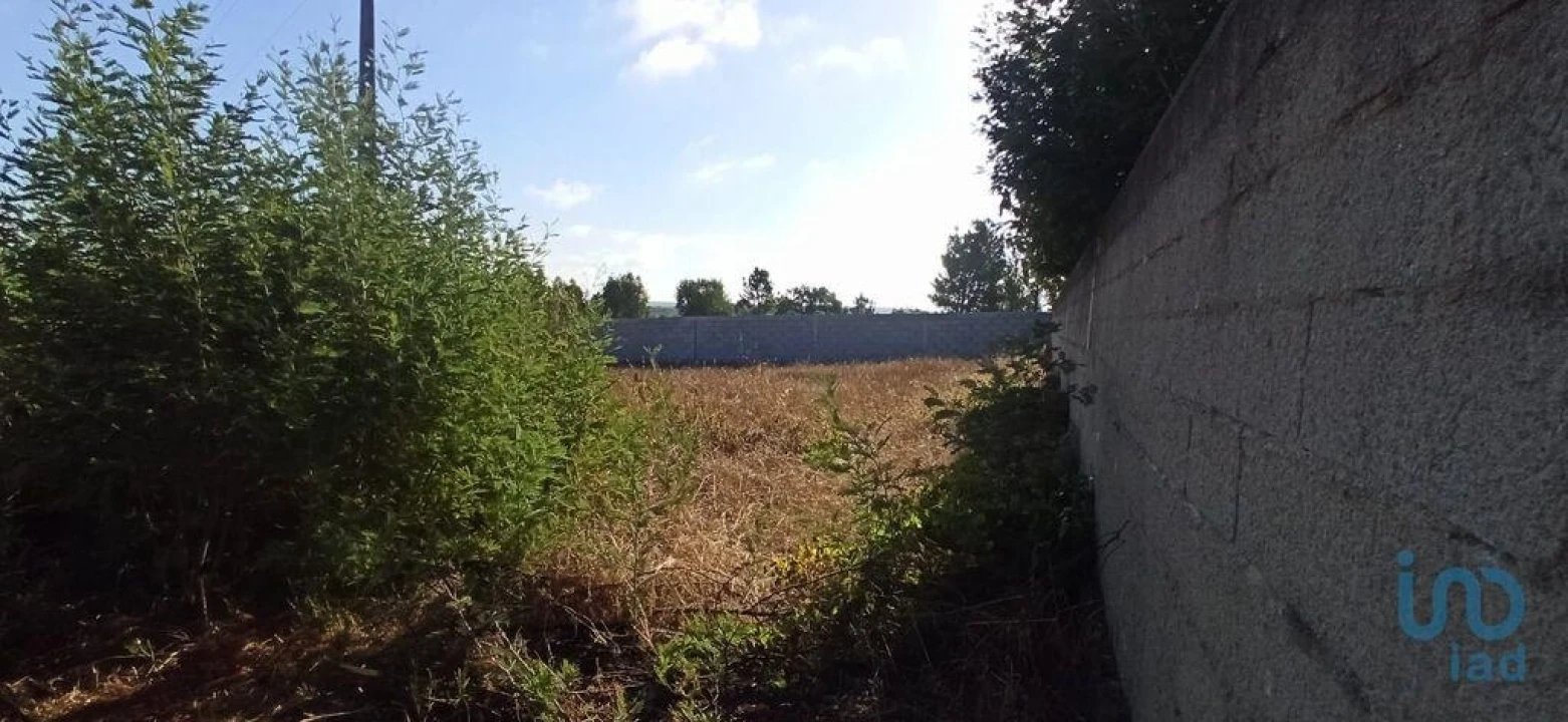 Terreno para Venda em Coruche, Fajarda e Erra Foto 1