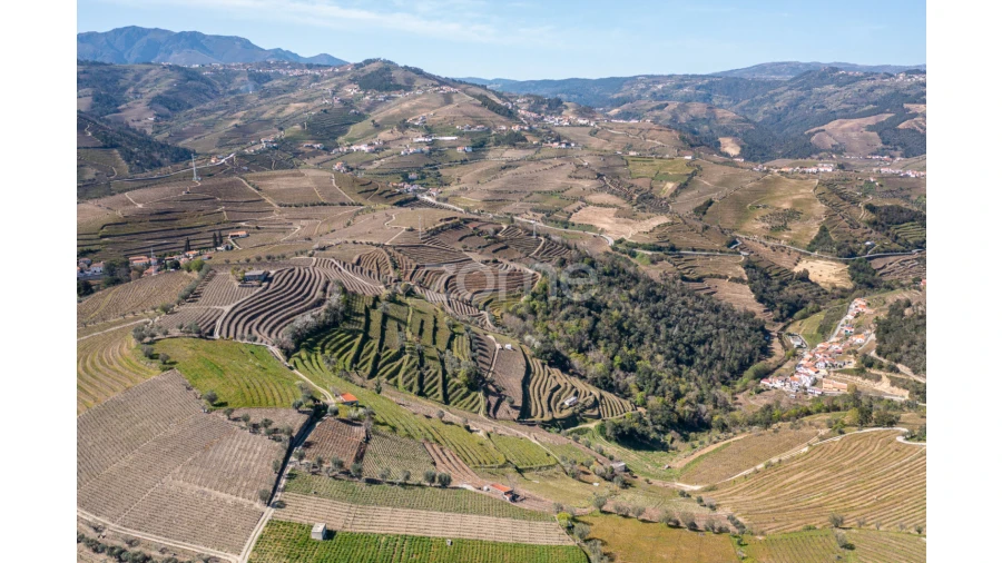 Terreno para Venda em Lobrigos (São Miguel e São João Baptista) e Sanhoane Foto 5