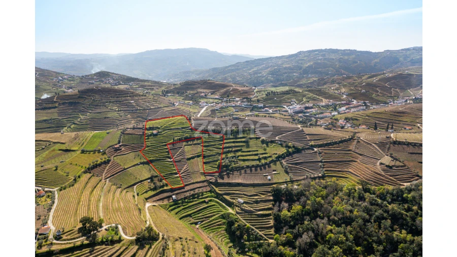 Terreno para Venda em Lobrigos (São Miguel e São João Baptista) e Sanhoane Foto 15