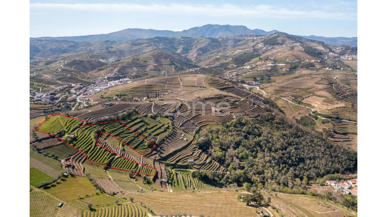 Terreno para Venda em Lobrigos (São Miguel e São João Baptista) e Sanhoane Foto 1