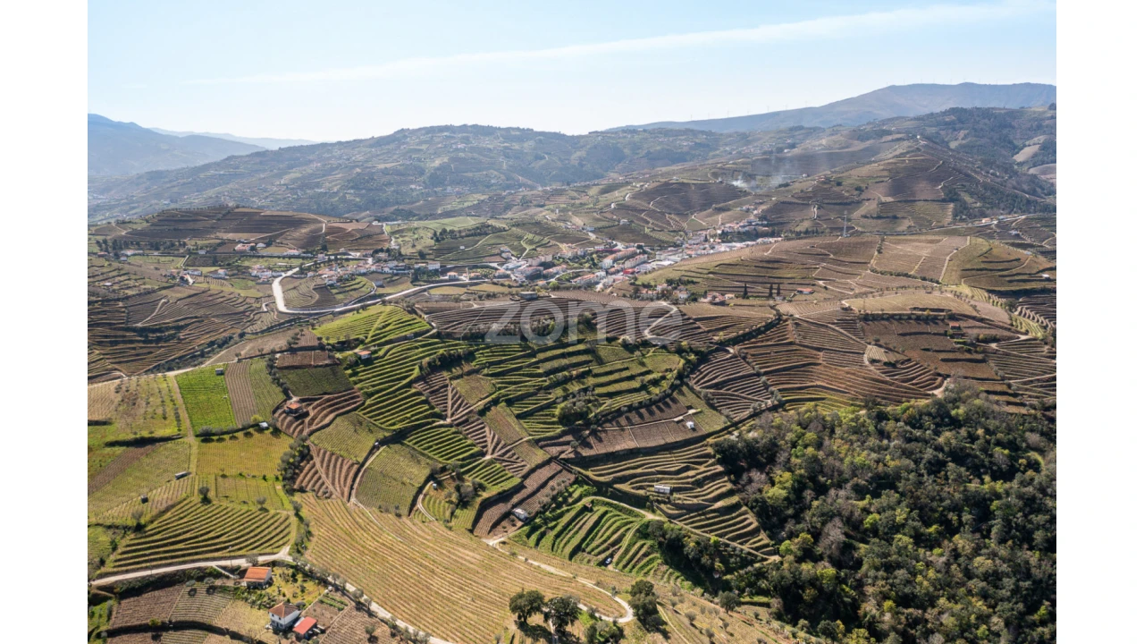 Terreno para Venda em Lobrigos (São Miguel e São João Baptista) e Sanhoane Foto 14