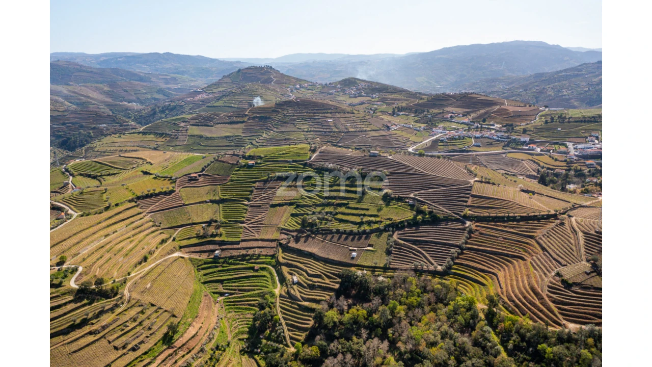 Terreno para Venda em Lobrigos (São Miguel e São João Baptista) e Sanhoane Foto 2