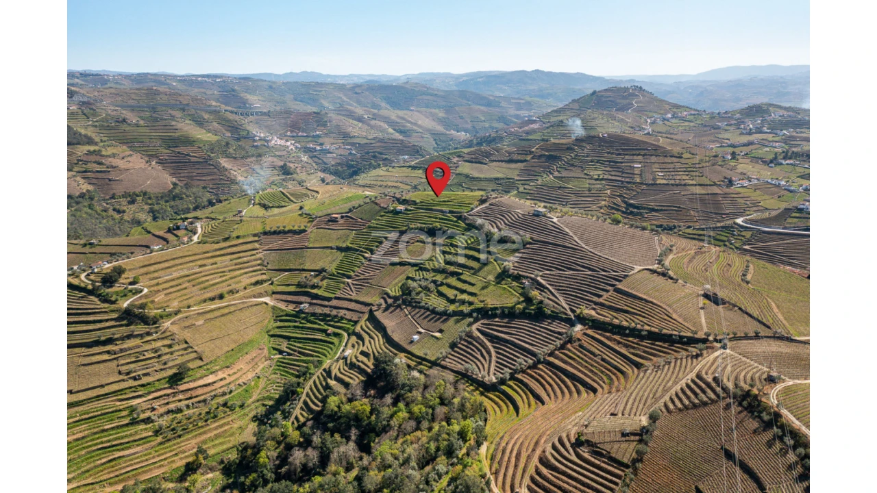 Terreno para Venda em Lobrigos (São Miguel e São João Baptista) e Sanhoane Foto 12