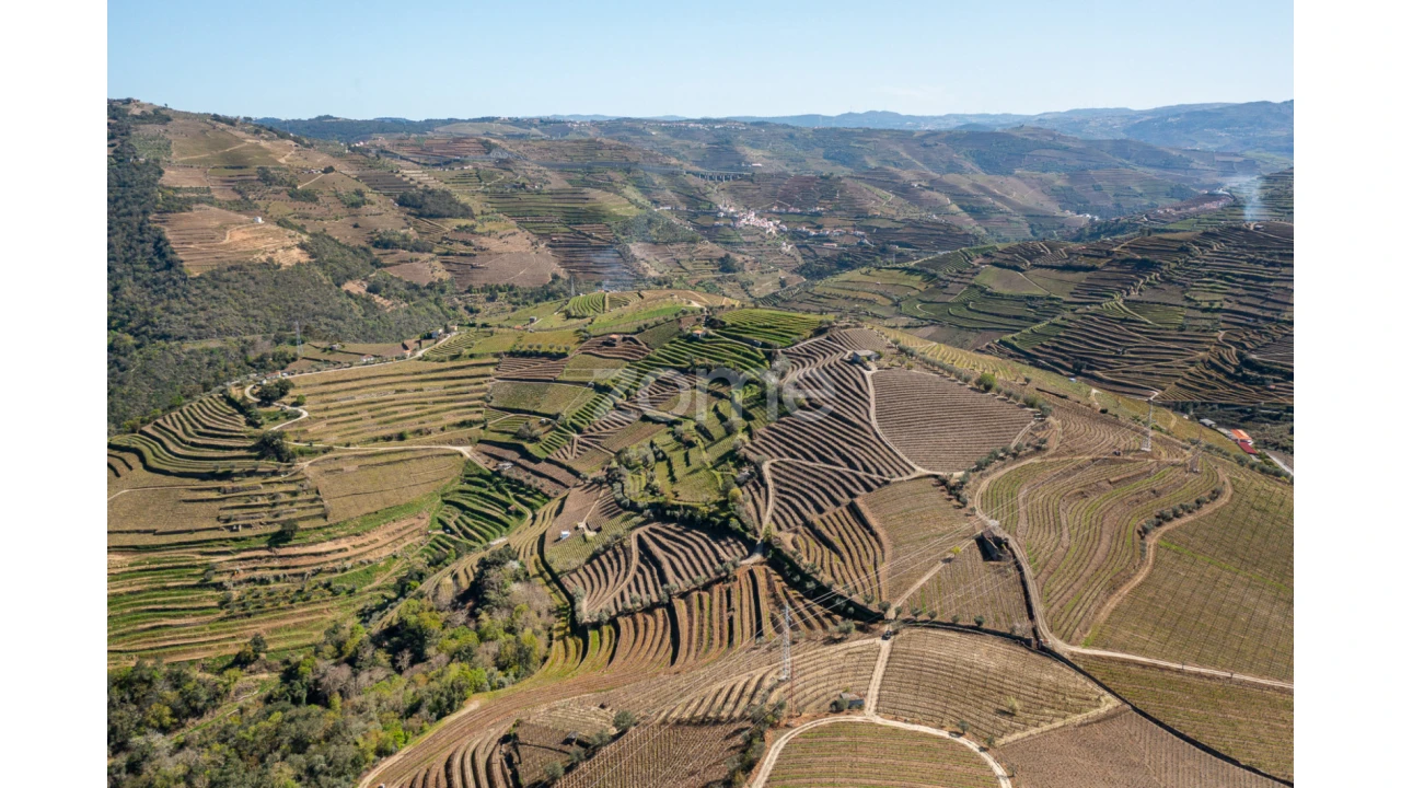 Terreno para Venda em Lobrigos (São Miguel e São João Baptista) e Sanhoane Foto 4