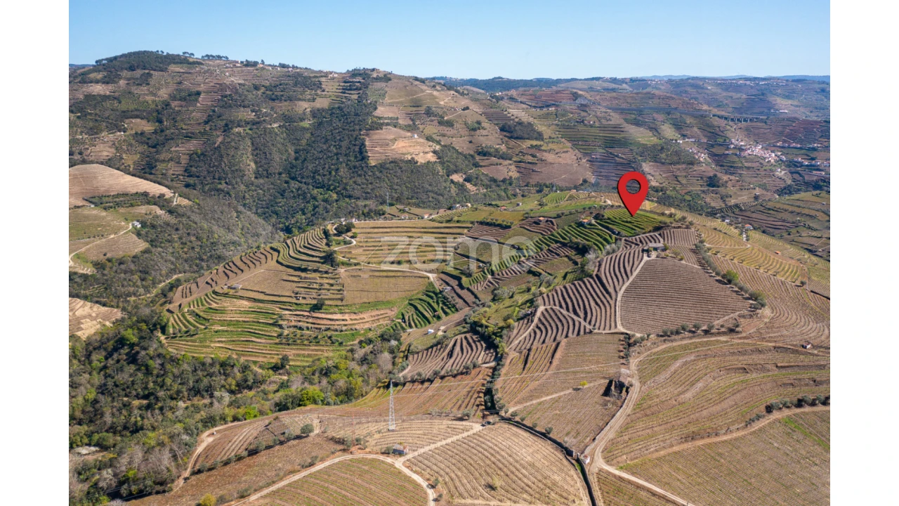 Terreno para Venda em Lobrigos (São Miguel e São João Baptista) e Sanhoane Foto 9