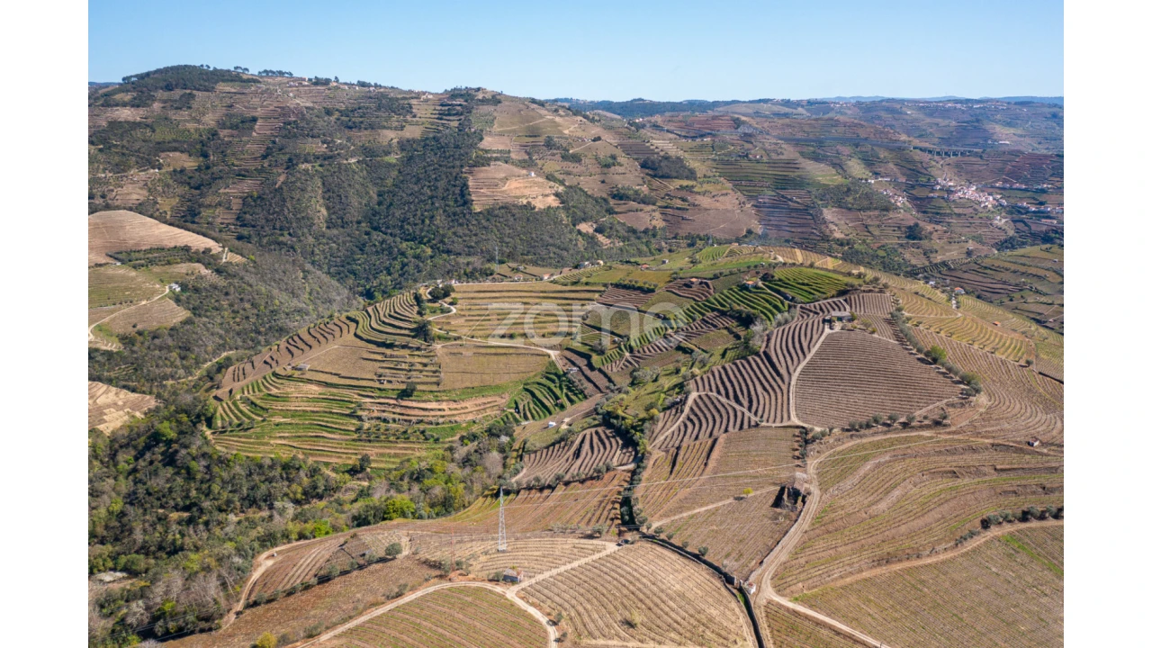 Terreno para Venda em Lobrigos (São Miguel e São João Baptista) e Sanhoane Foto 10