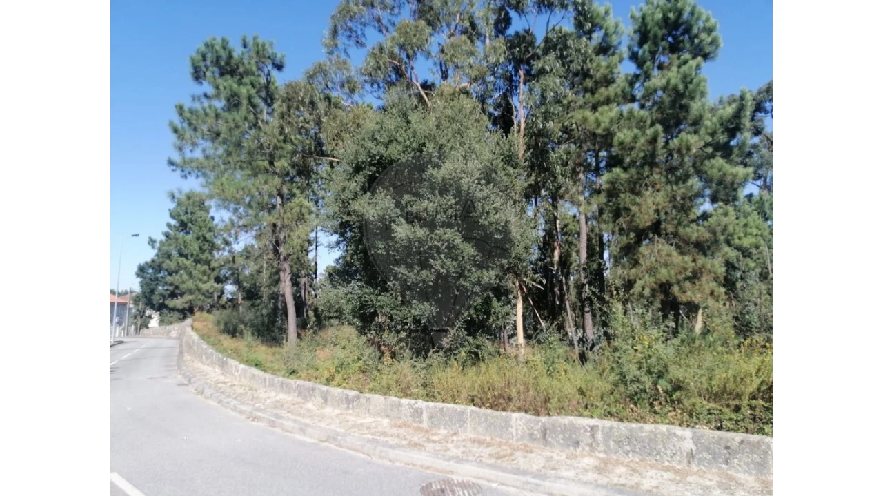 Terreno para Venda em Aguas Santas Foto 8