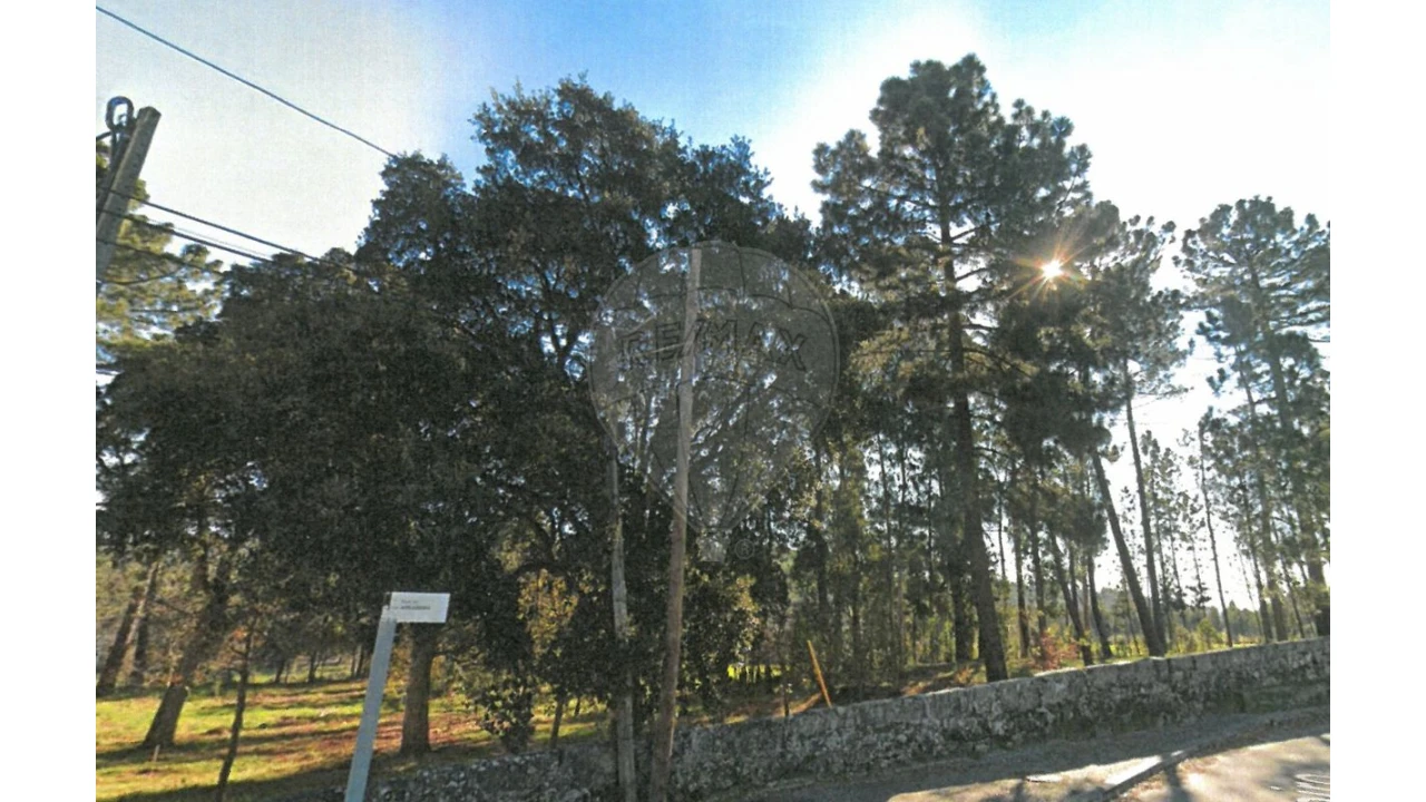 Terreno para Venda em Aguas Santas Foto 6